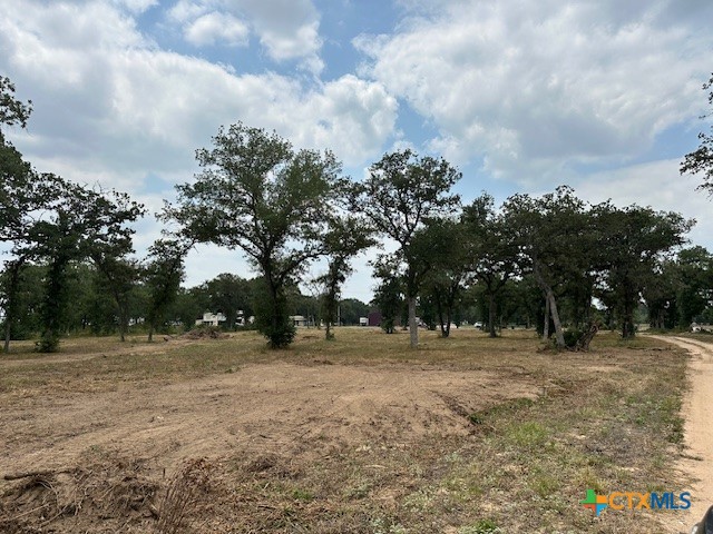 11296 Us Highway 87 Highway Property Photo 14