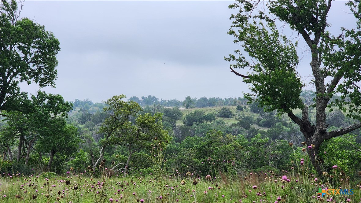 Lot 48 Ridgeline Road Property Photo 2