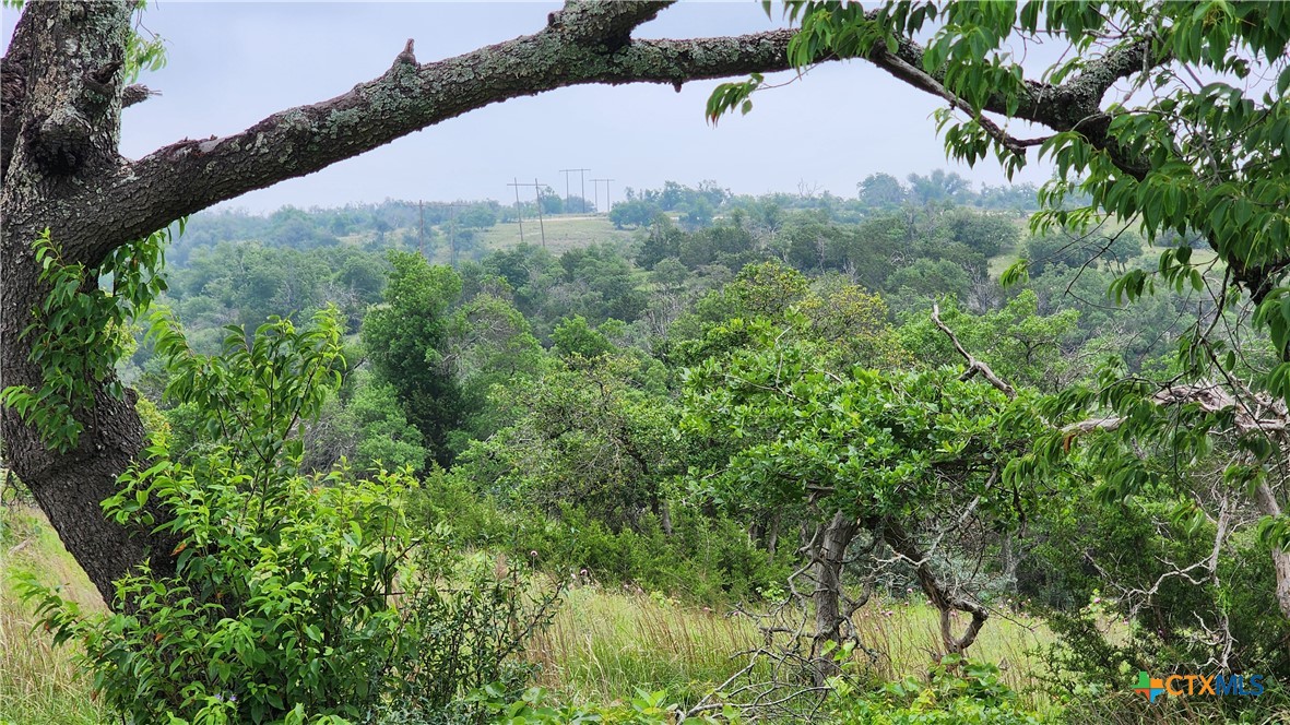Lot 48 Ridgeline Road Property Photo 3