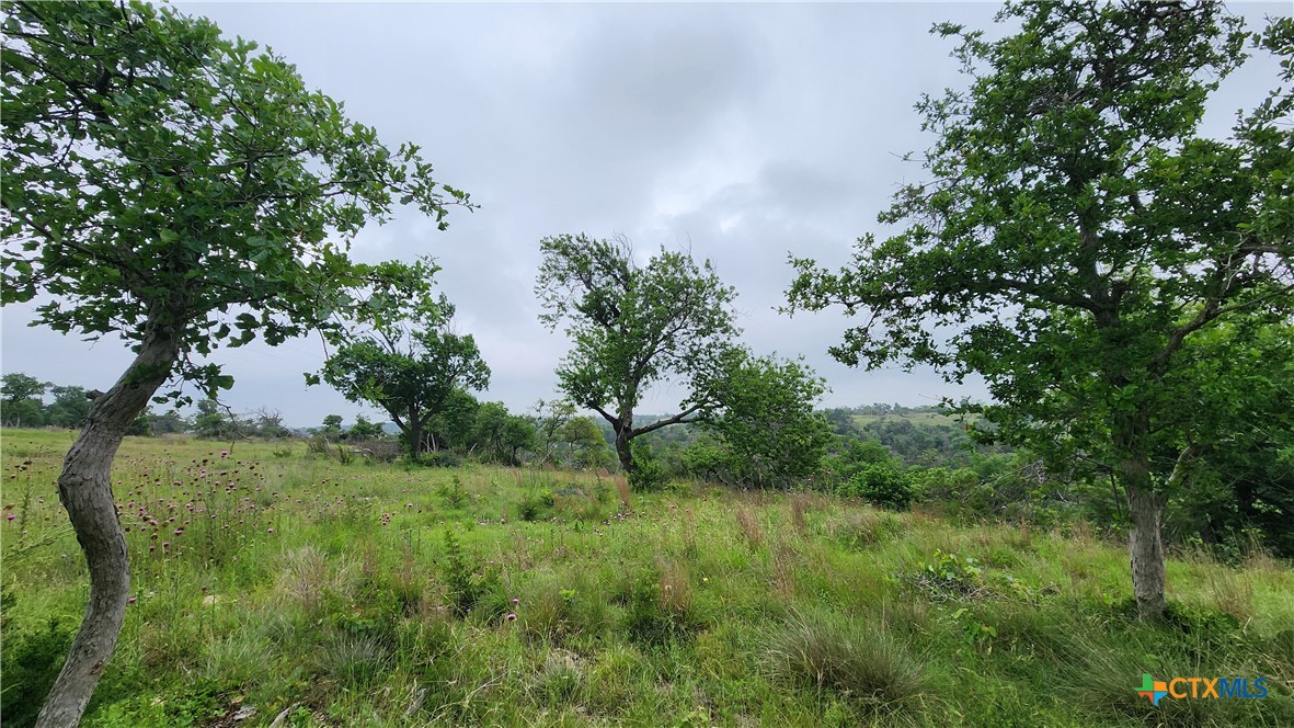 Lot 48 Ridgeline Road Property Photo 4