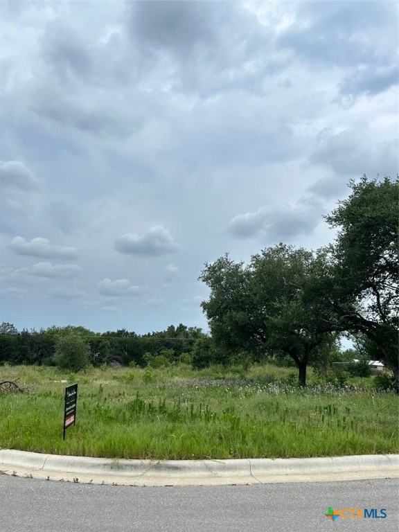 7038 Troyan Lane Property Photo 1