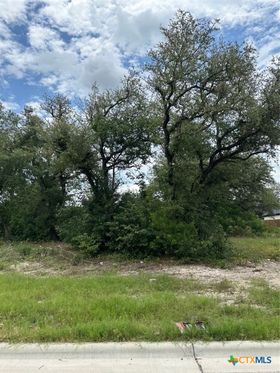 7033 Troyan Lane Property Photo 1