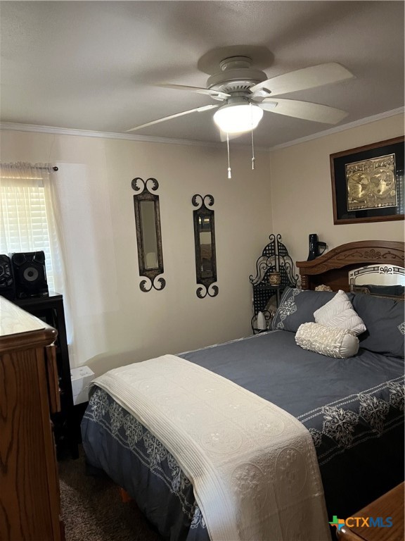 1102 Houston Street Property Photo 9