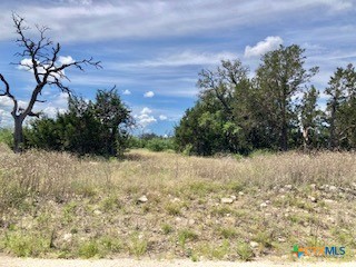 LOT 73 Shin Oak Drive Property Photo 1