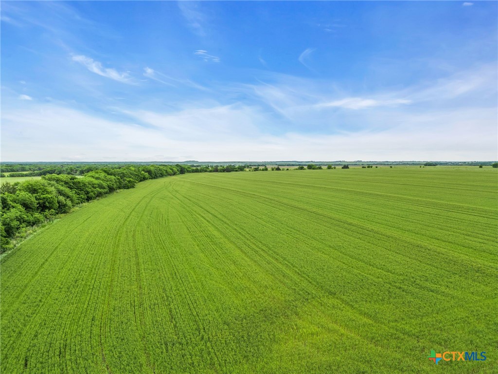 Crabapple Lot: 3441 Fm-55 Property Photo 8