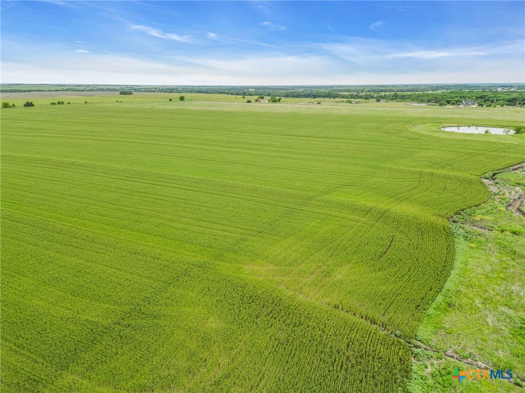 Red Oak Lot: 3441 Fm-55 Property Photo 6