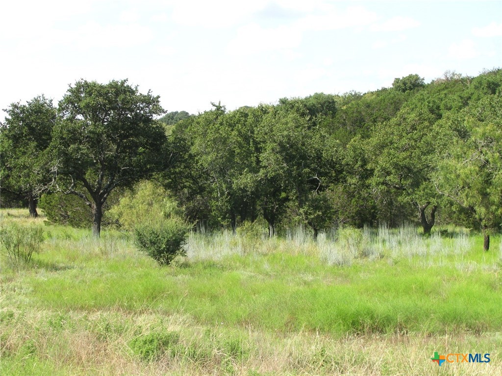 Lot 9 Ph 4 Pr 4212 Property Photo 2