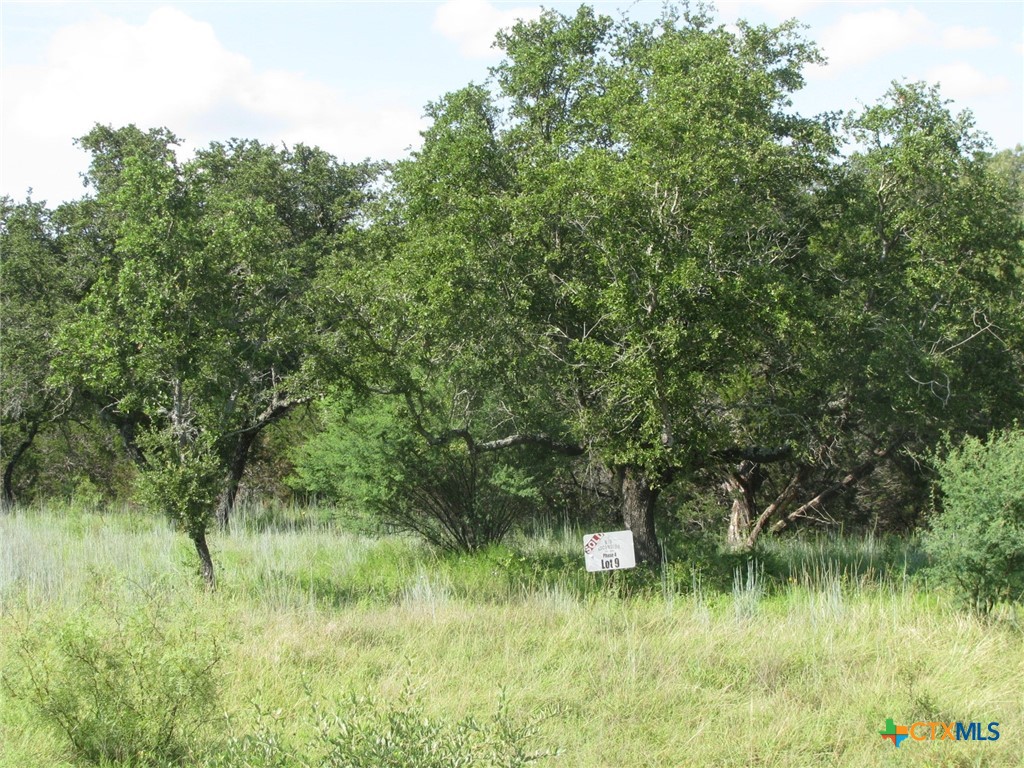 Lot 9 Ph 4 Pr 4212 Property Photo 3