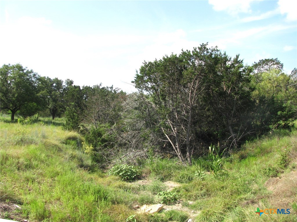 Lot 9 Ph 4 Pr 4212 Property Photo 4