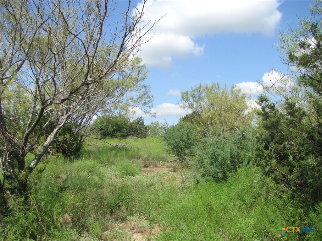 Lot 9 Ph 4 Pr 4212 Property Photo 11