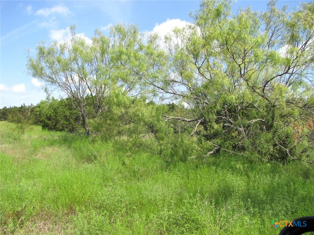 Lot 9 Ph 4 Pr 4212 Property Photo 13