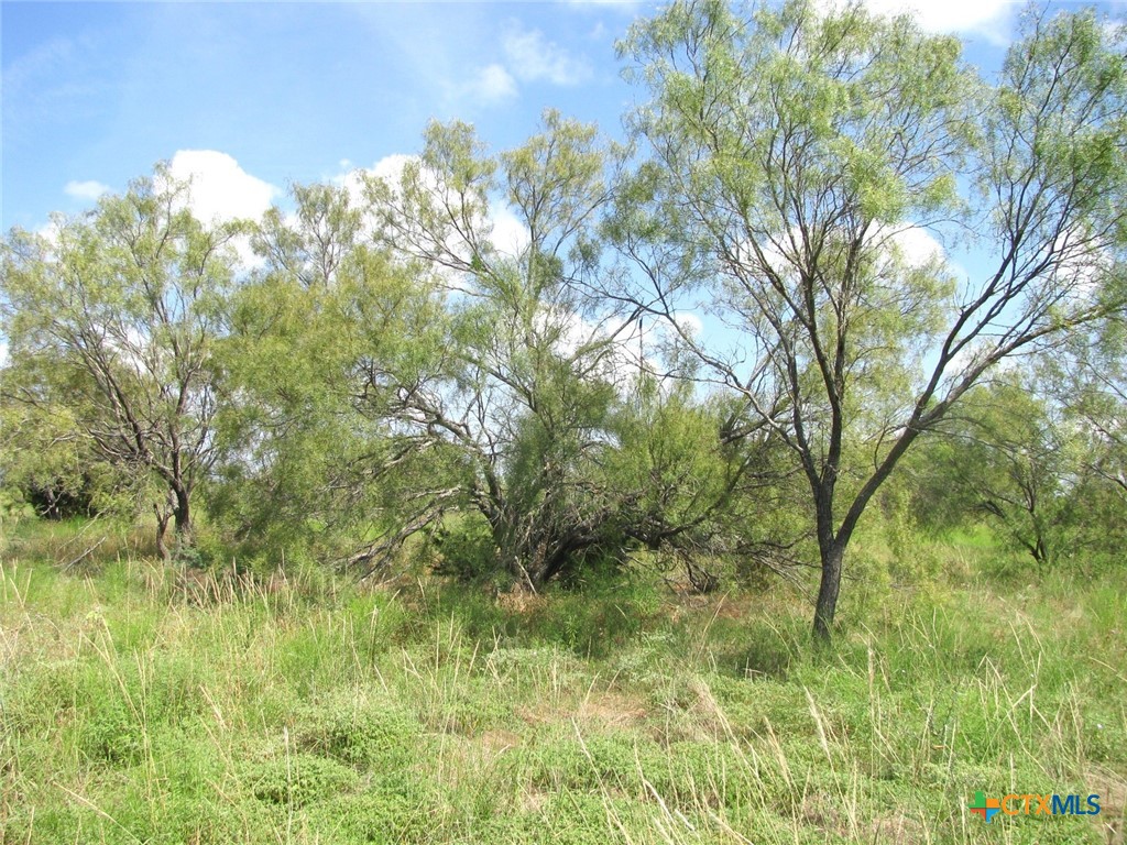 Lot 9 Ph 4 Pr 4212 Property Photo 22