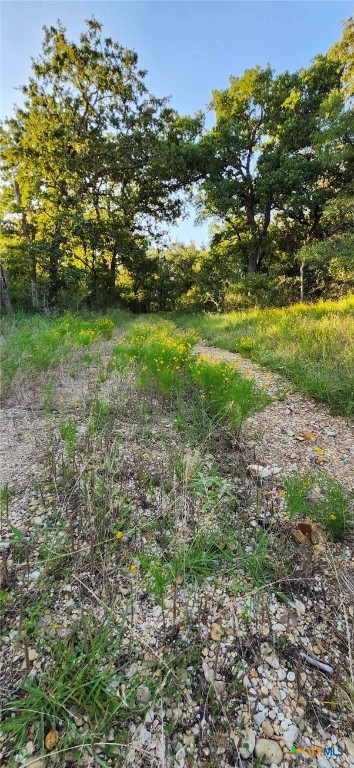 Tbd Rosanky Road Property Photo 3