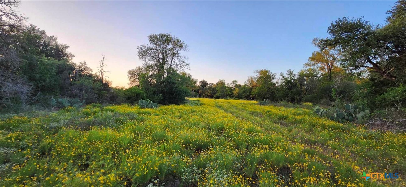 Tbd Rosanky Road Property Photo 5