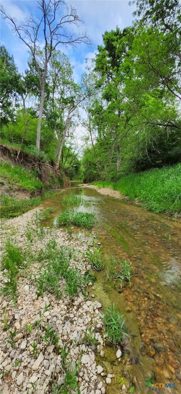 Tbd Rosanky Road Property Photo 6