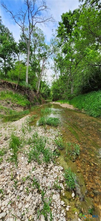 Tbd Rosanky Road Property Photo 7