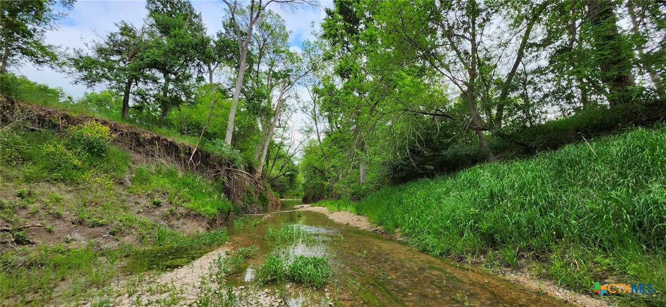 Tbd Rosanky Road Property Photo 8