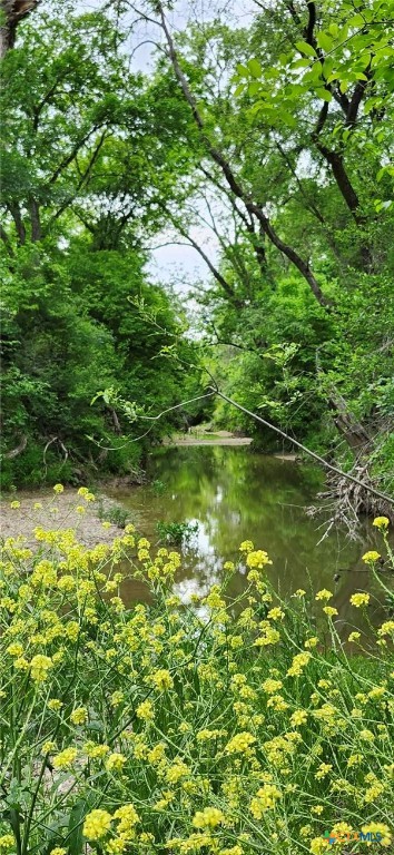 Tbd Rosanky Road Property Photo 9