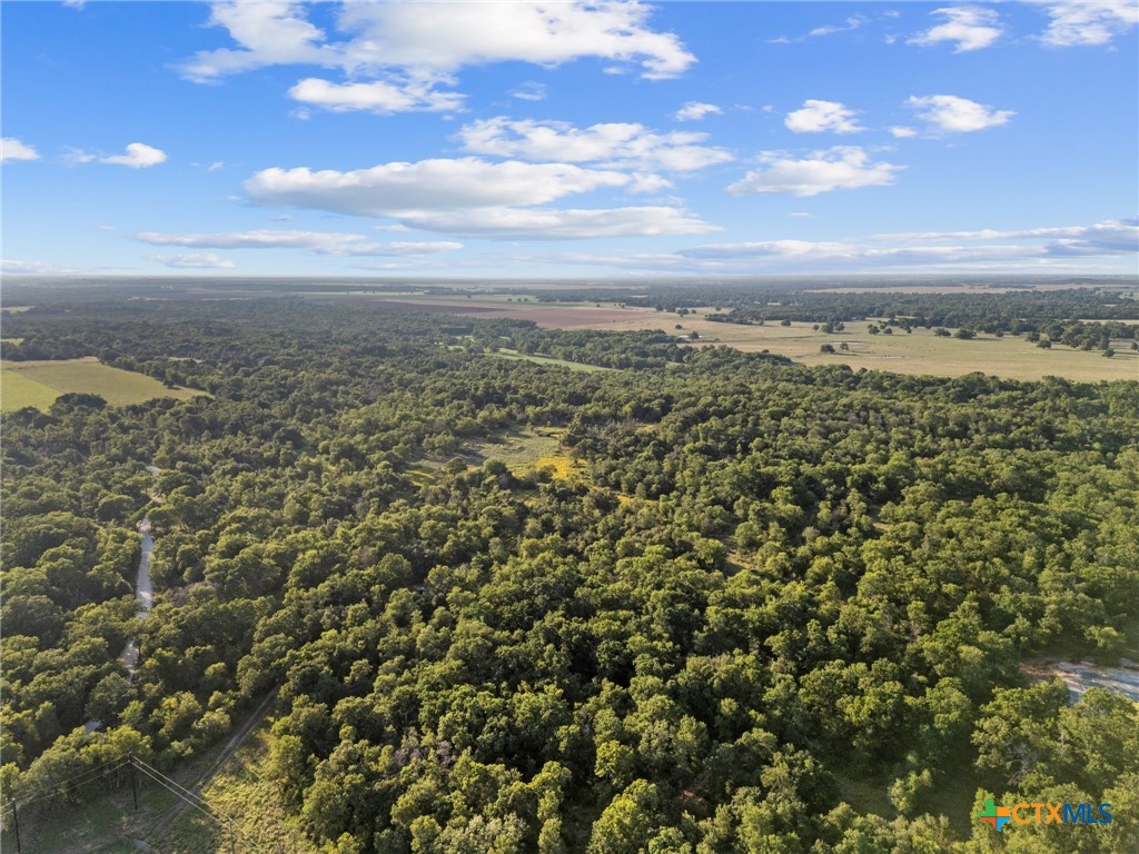 Tbd Rosanky Road Property Photo 10
