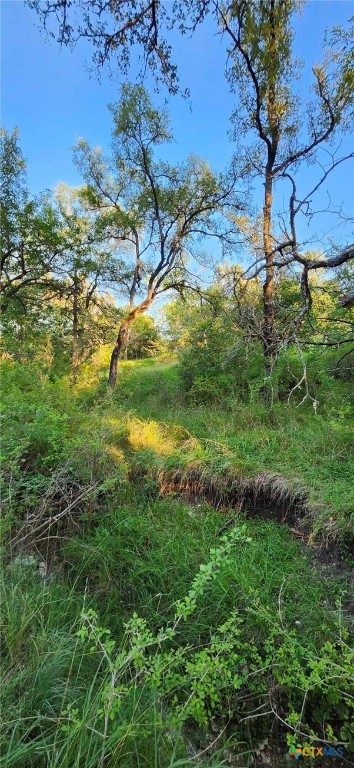 Tbd Rosanky Road Property Photo 14