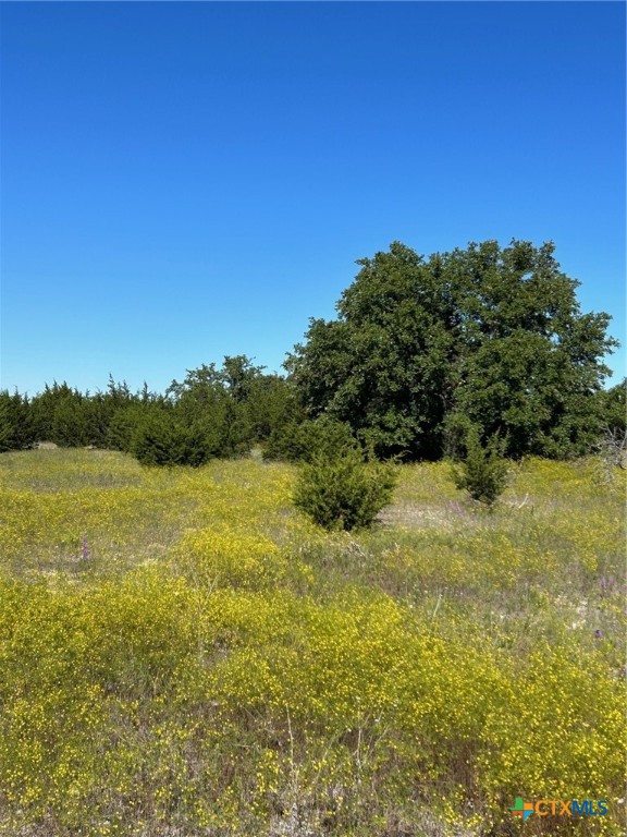 Tbd County Road 139 Property Photo 2