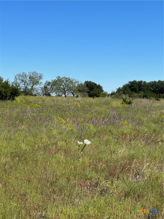 Tbd County Road 139 Property Photo 3
