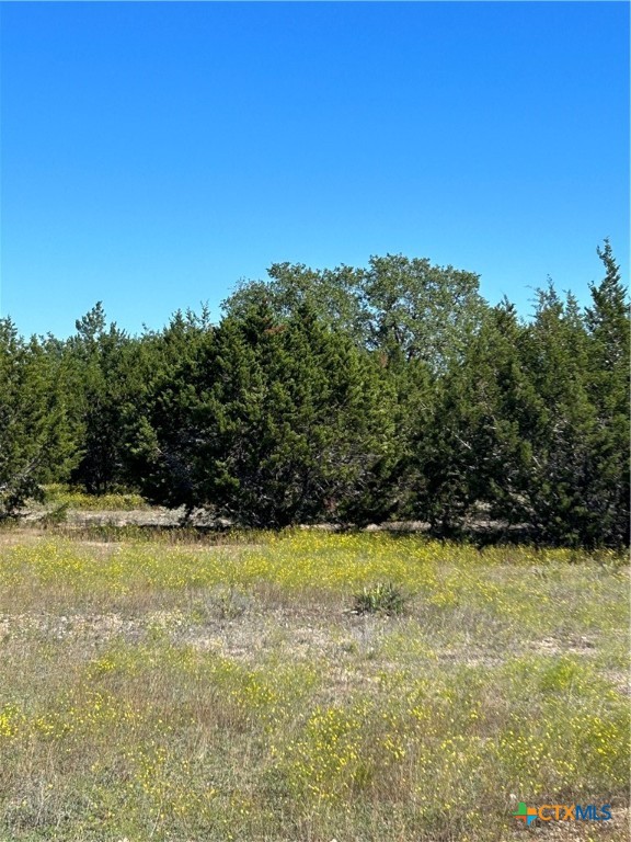 Tbd County Road 139 Property Photo 4