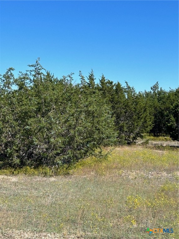 Tbd County Road 139 Property Photo 5