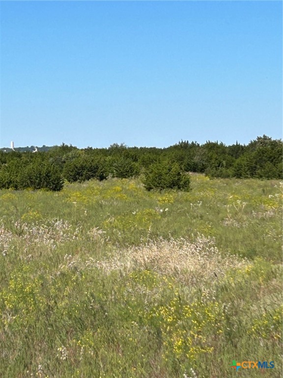 Tbd County Road 139 Property Photo 6