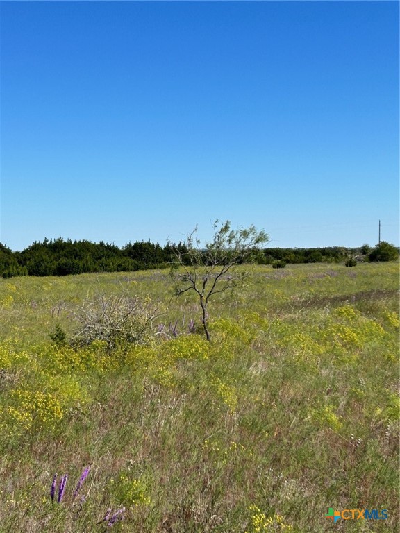 Tbd County Road 139 Property Photo 7