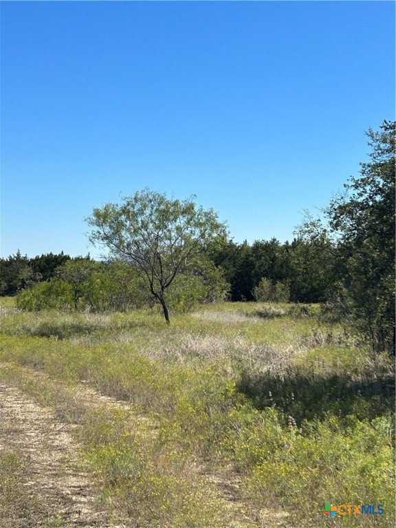Tbd County Road 139 Property Photo 8