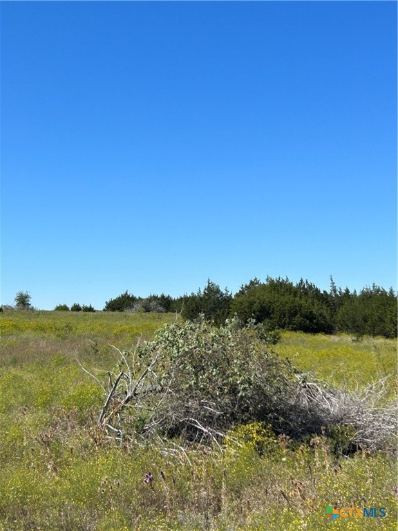 Tbd County Road 139 Property Photo 9
