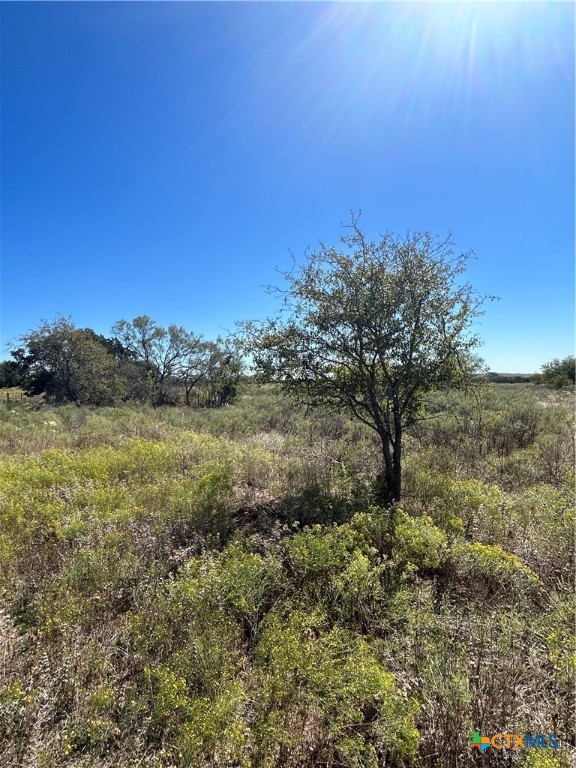 Tbd County Road 139 Property Photo 11