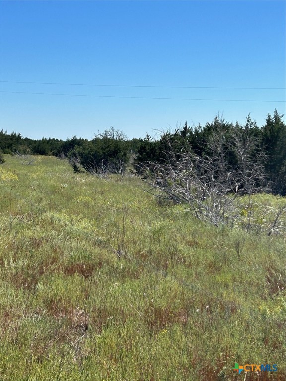 Tbd County Road 139 Property Photo 14