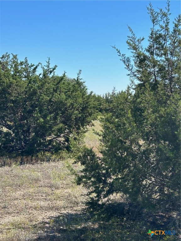 Tbd County Road 139 Property Photo 15