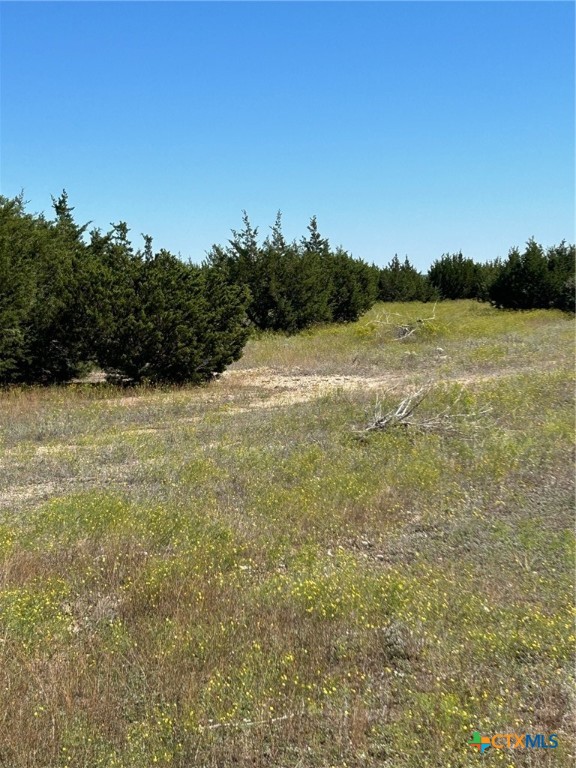 Tbd County Road 139 Property Photo 16