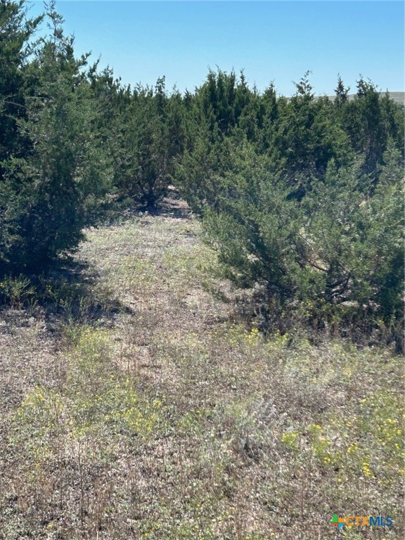 Tbd County Road 139 Property Photo 17