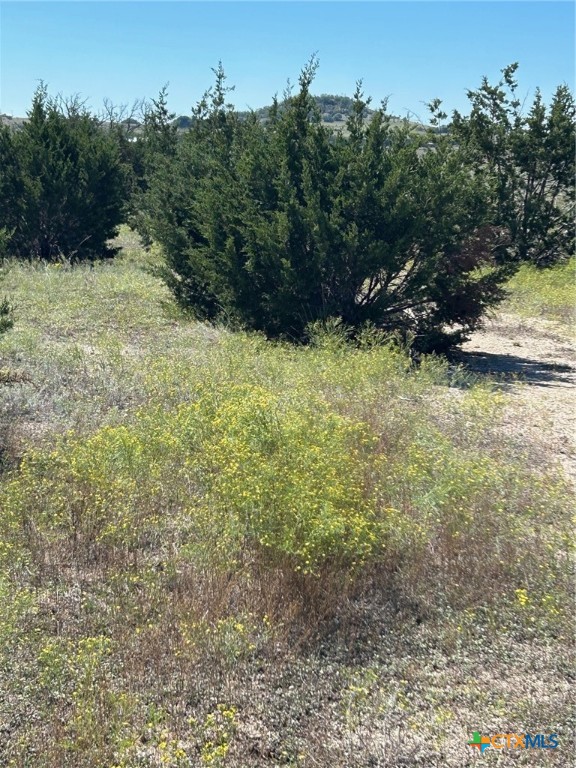 Tbd County Road 139 Property Photo 18