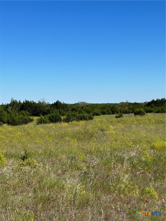 Tbd County Road 139 Property Photo 21
