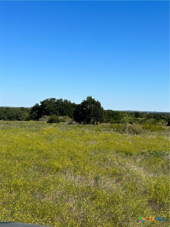 Tbd County Road 139 Property Photo 23