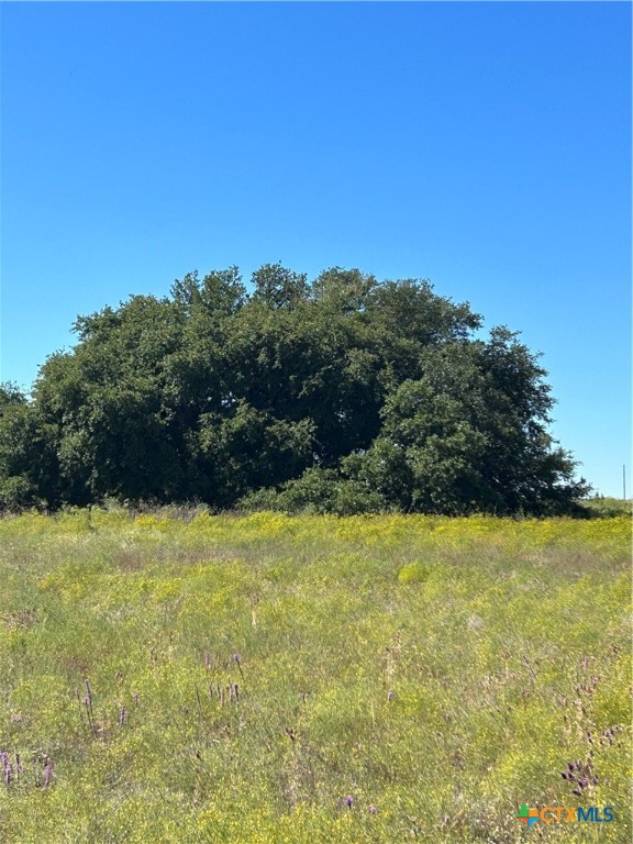 Tbd County Road 139 Property Photo 24
