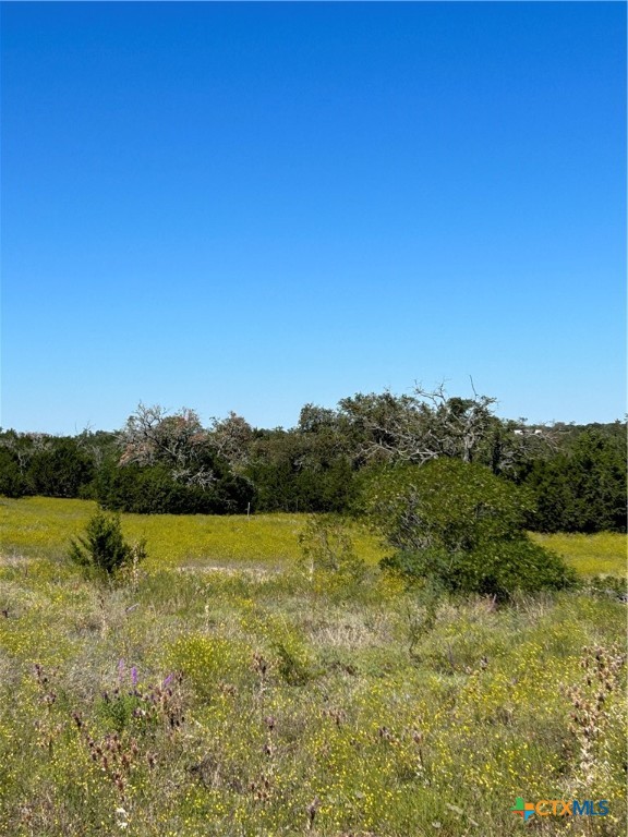 Tbd County Road 139 Property Photo 25