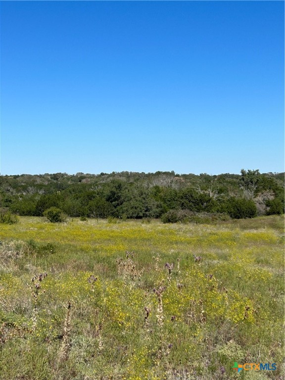 Tbd County Road 139 Property Photo 26