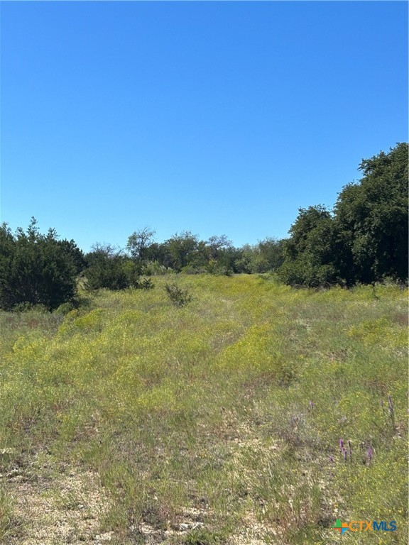 Tbd County Road 139 Property Photo 27