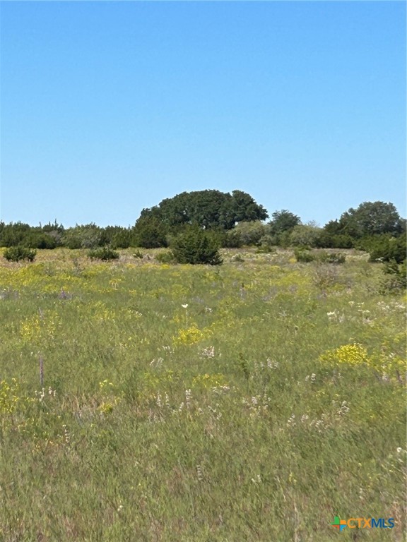 Tbd County Road 139 Property Photo 31