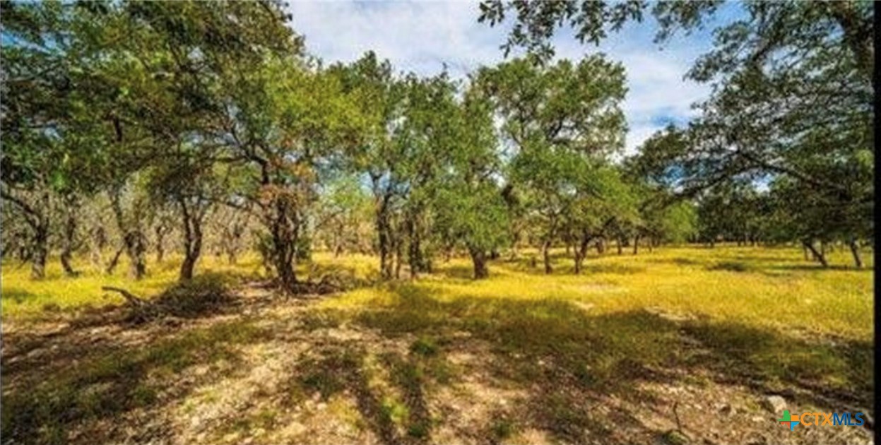 Lot 3 Scott Branch Road Property Photo 2