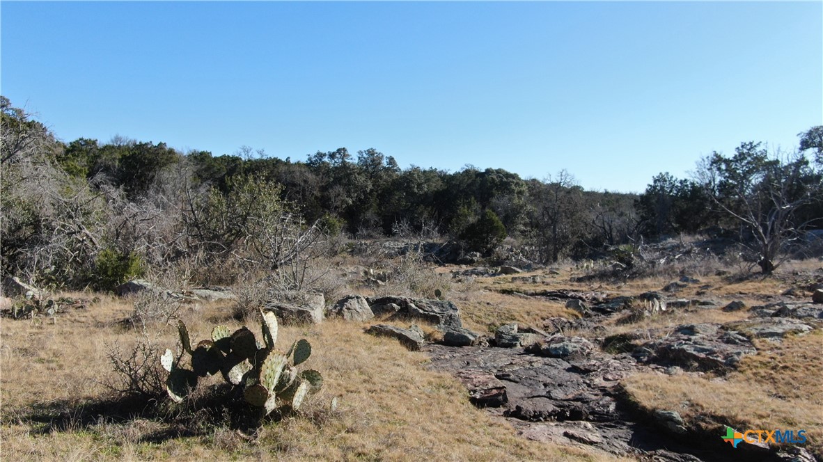 Tbd W Fm 2341 Property Photo 11