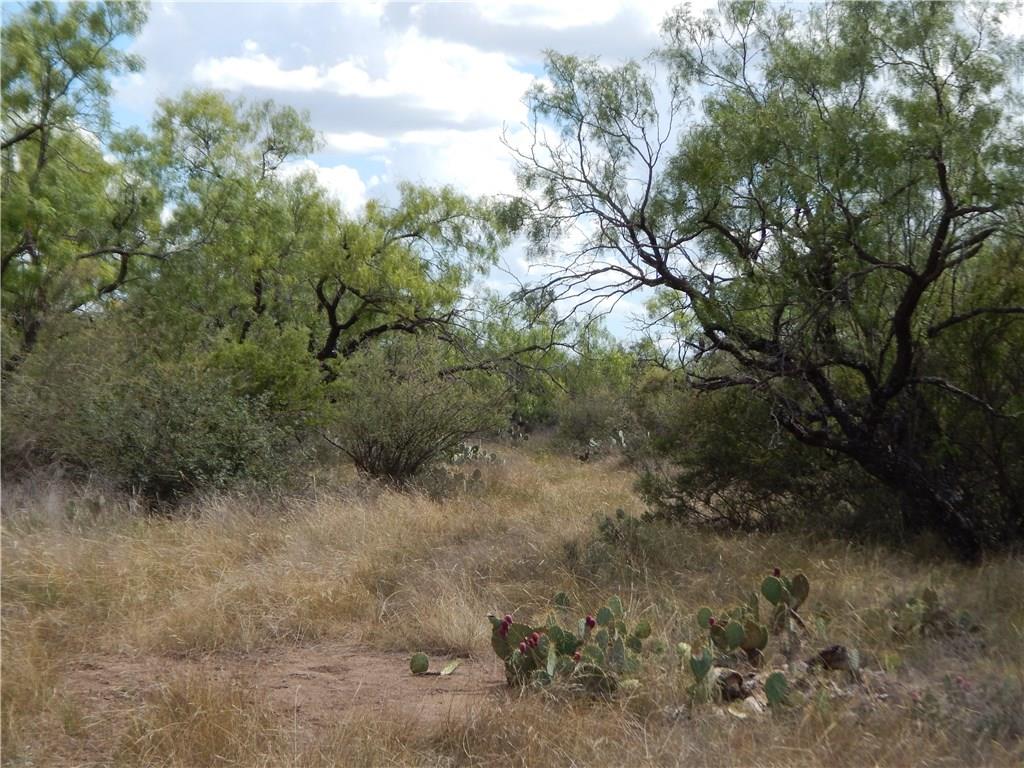 Tbd Cr 356 Property Photo 2