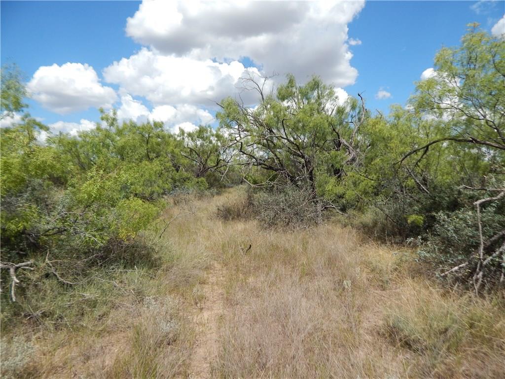 Tbd Cr 356 Property Photo 21