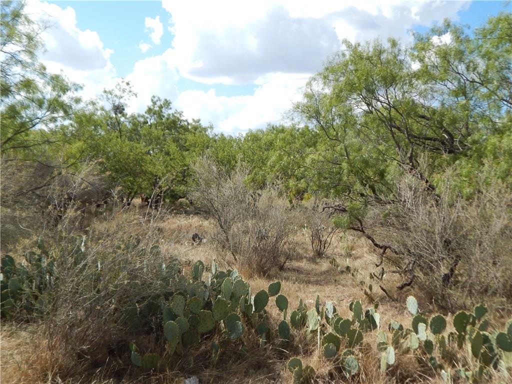 Tbd Cr 356 Property Photo 35